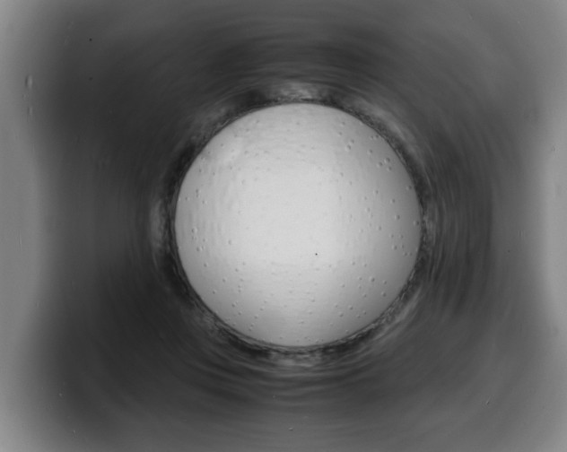 X0000100310359200806051333