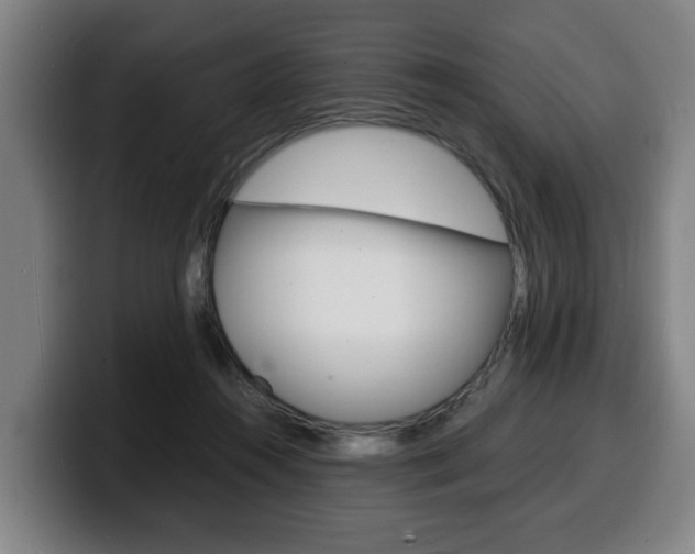 X0000100310360200806051333