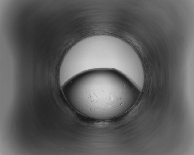 X0000100310362200806051333