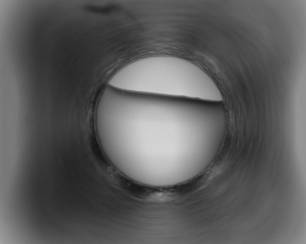 X0000100310364200806051334