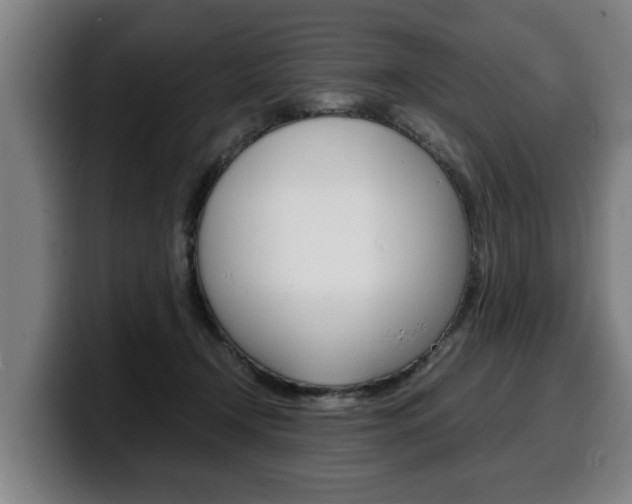 X0000100310366200806051334