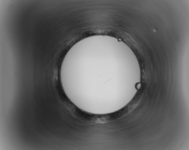 X0000100310368200806051334