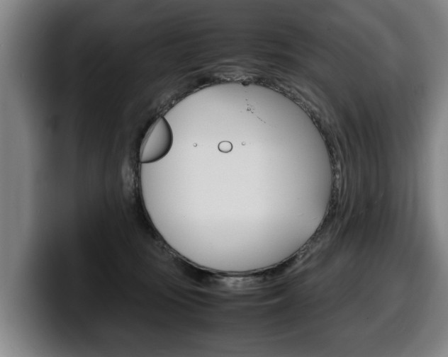 X0000100310371200806051334