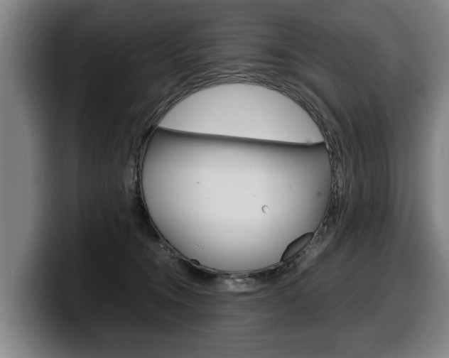 X0000100310372200806051334