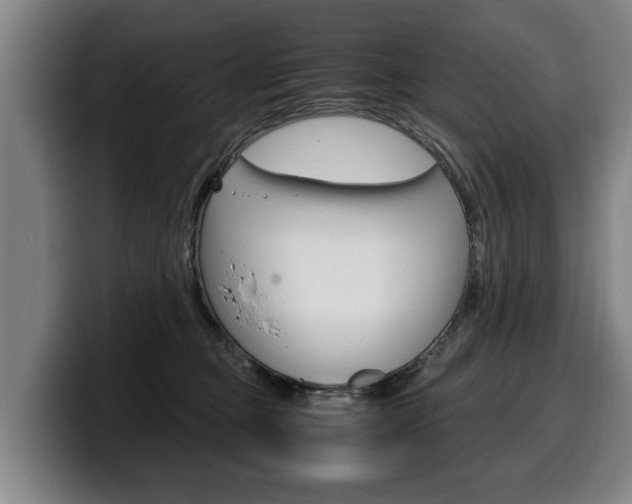 X0000100310373200806051334