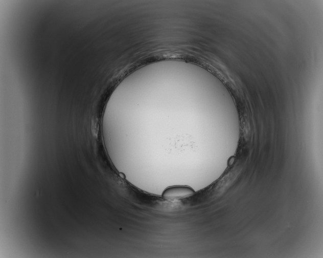 X0000100310374200806051334