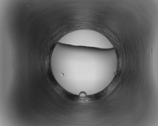 X0000100310376200806051334