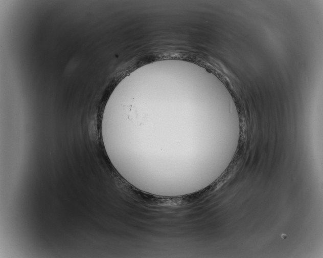 X0000100310377200806051334