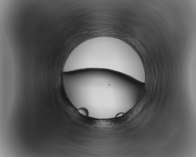 X0000100310380200806051334
