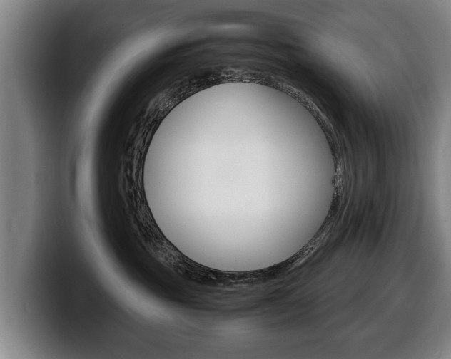 X0000100310381200806051334