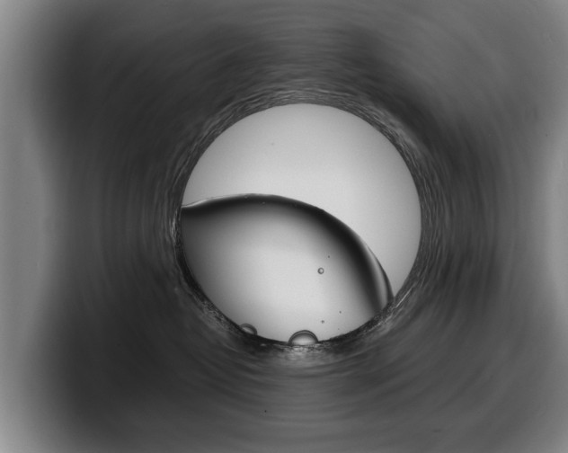 X0000100310382200806051334