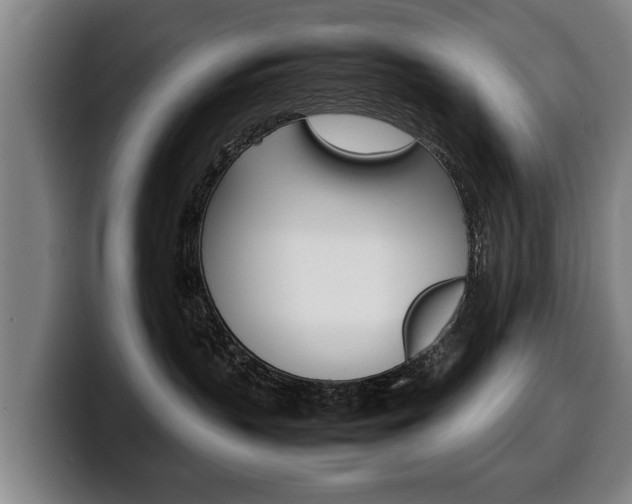 X0000100310383200806051334