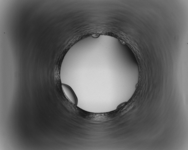 X0000100310384200806051334