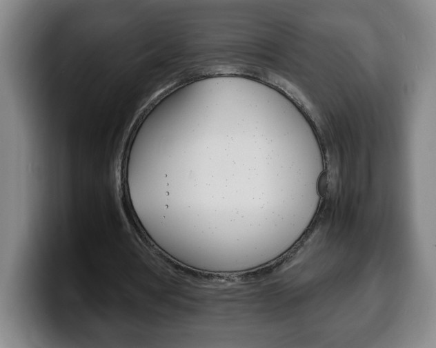 X0000100310386200806051333