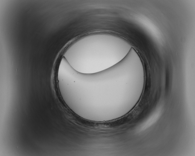 X0000100310387200806051333