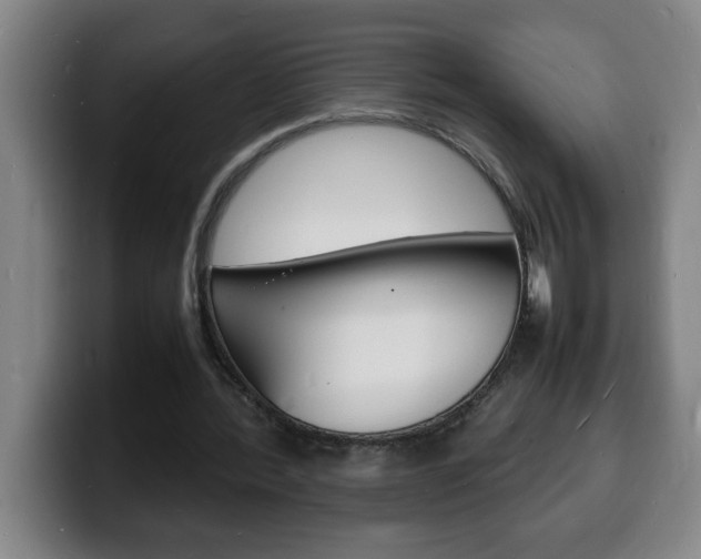 X0000100310388200806051333