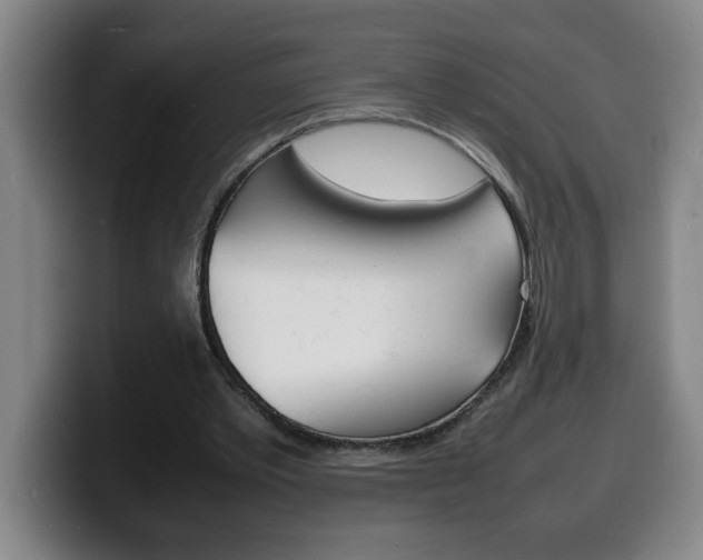 X0000100310389200806051333