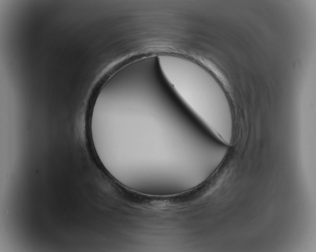 X0000100310391200806051333