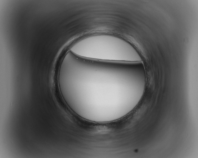 X0000100310392200806051333