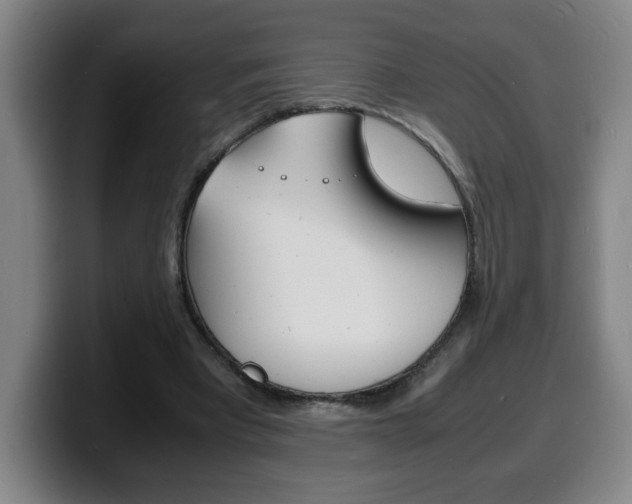 X0000100310393200806051333