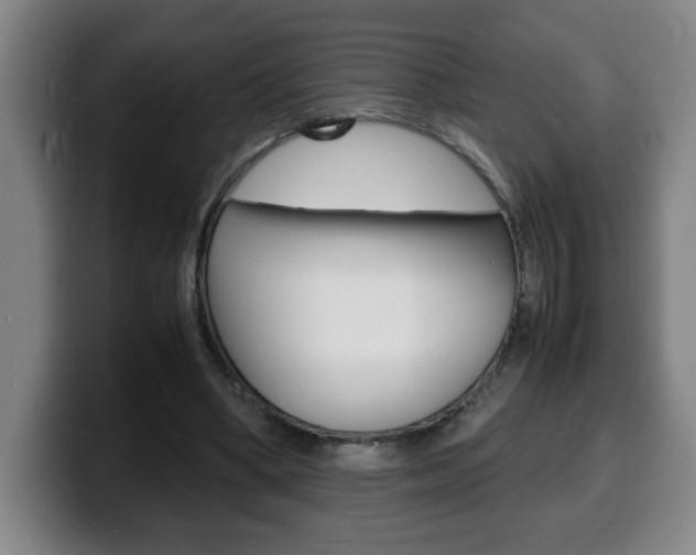 X0000100310394200806051333