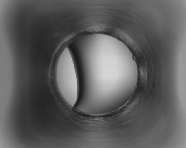 X0000100310396200806051333