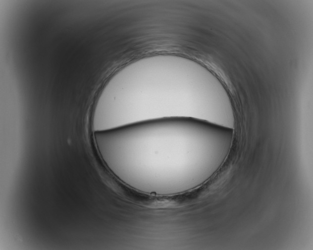 X0000100310397200806051333