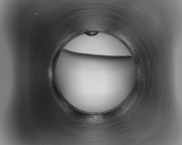 X0000100310398200806051333