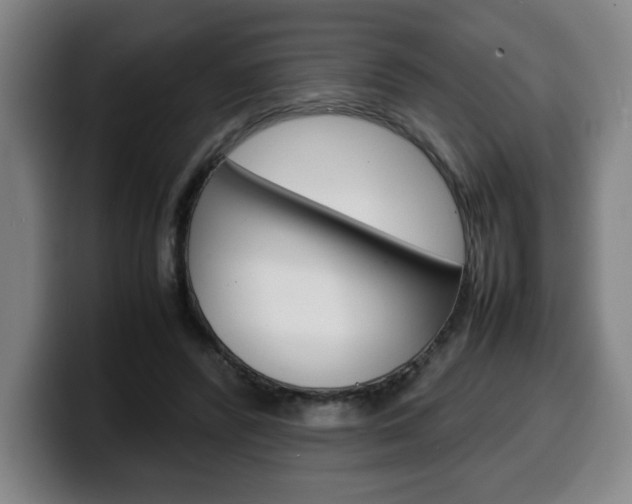 X0000100310400200806051333