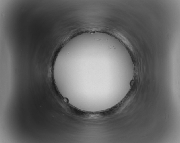 X0000100310401200806051333