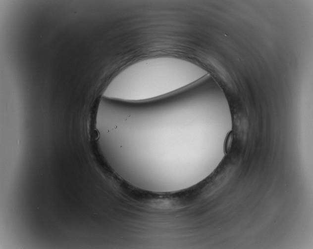 X0000100310404200806051333