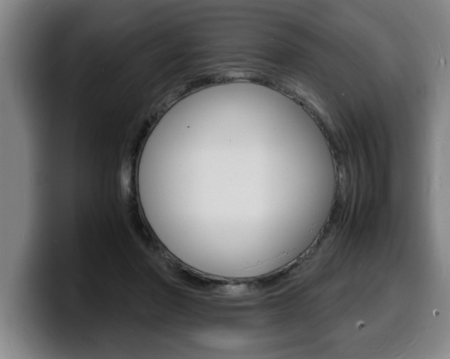 X0000100310406200806051333