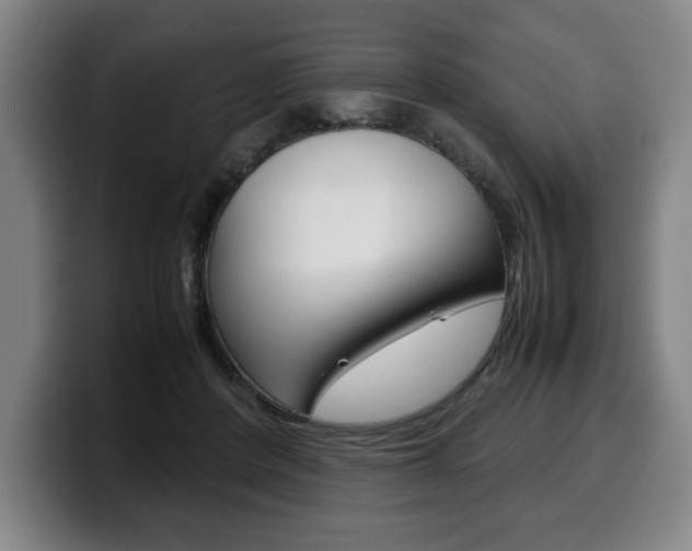 X0000100310408200806051333