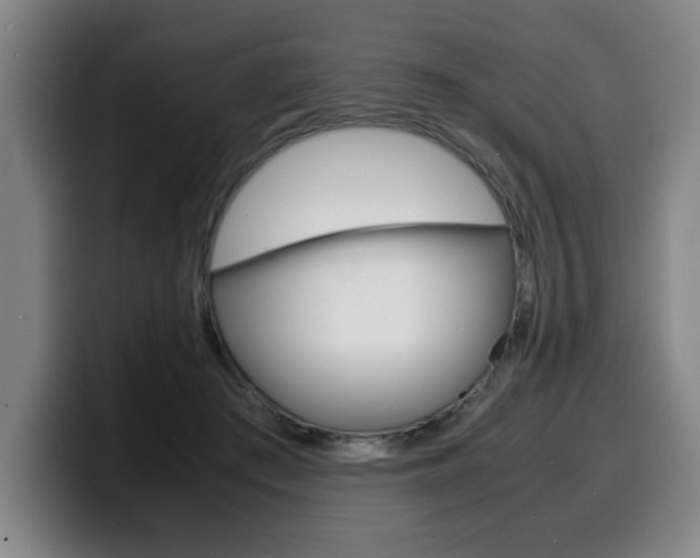 X0000100310409200806051333