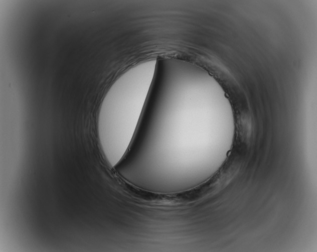 X0000100310412200806051333