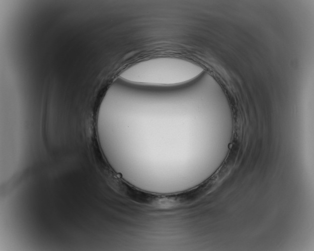 X0000100310413200806051333