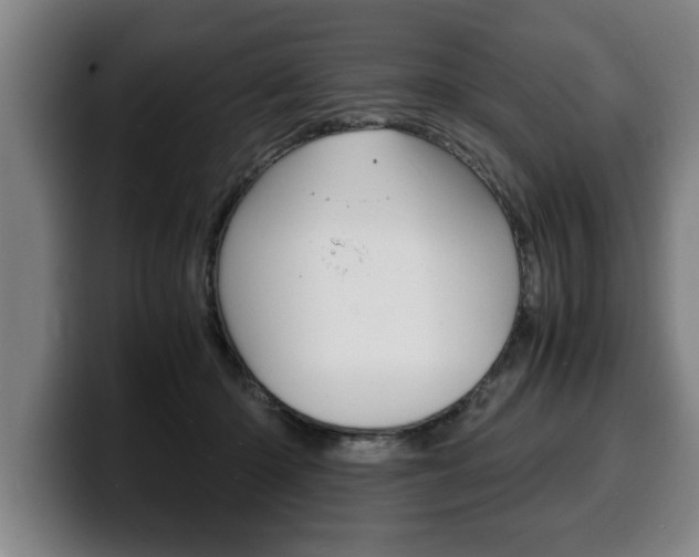X0000100310414200806051333