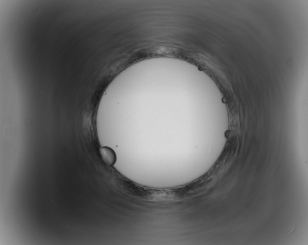 X0000100310415200806051333