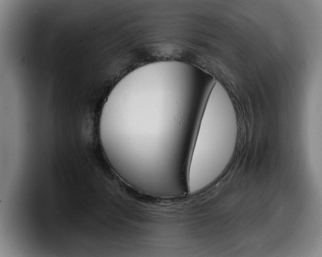X0000100310416200806051333