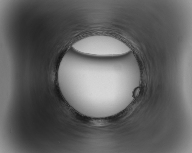 X0000100310417200806051333