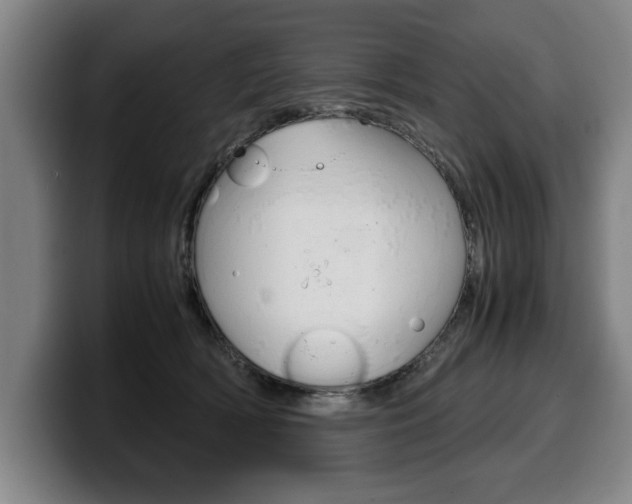 X0000100310418200806051333