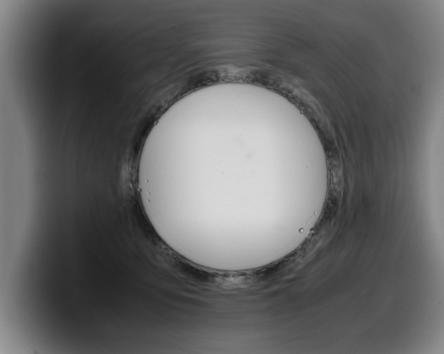 X0000100310419200806051333