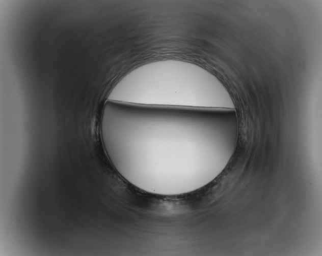 X0000100310420200806051333