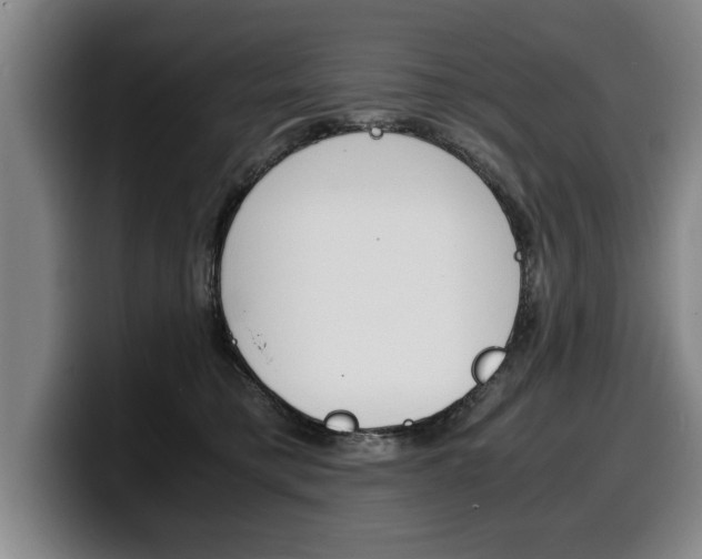 X0000100310421200806051333