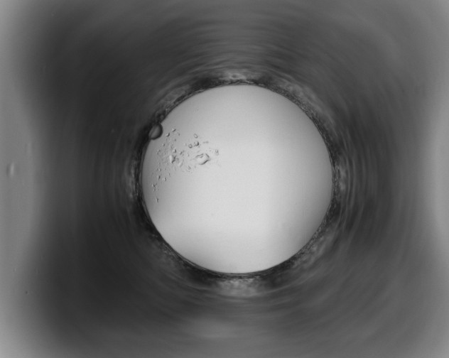X0000100310422200806051333