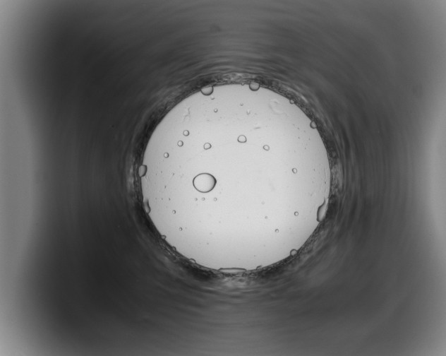X0000100310423200806051333