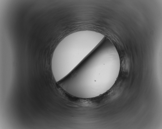 X0000100310424200806051333