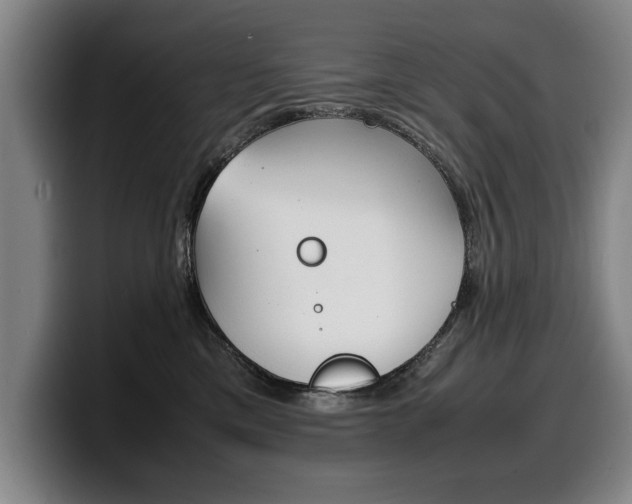 X0000100310425200806051333