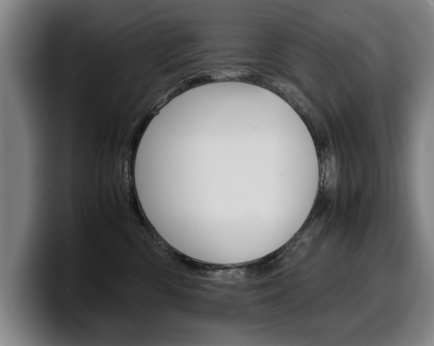 X0000100310426200806051333