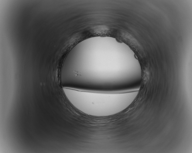 X0000100310428200806051333